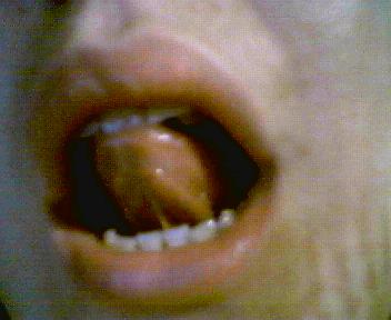 Imagen 019.jpg